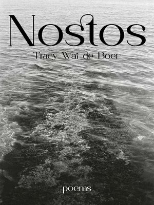 cover image of Nostos